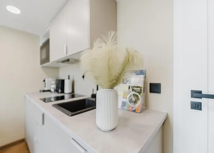 Hyggelig Loft Appartamento Palanga